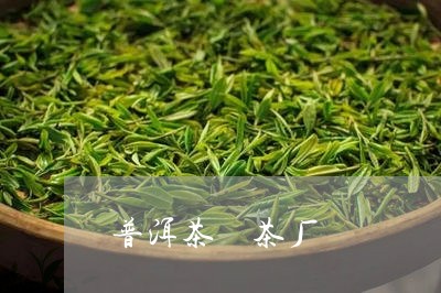 普洱茶 茶厂/2023042977086